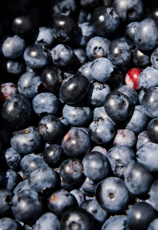 American Spoon Fruit Perfect Blueberries