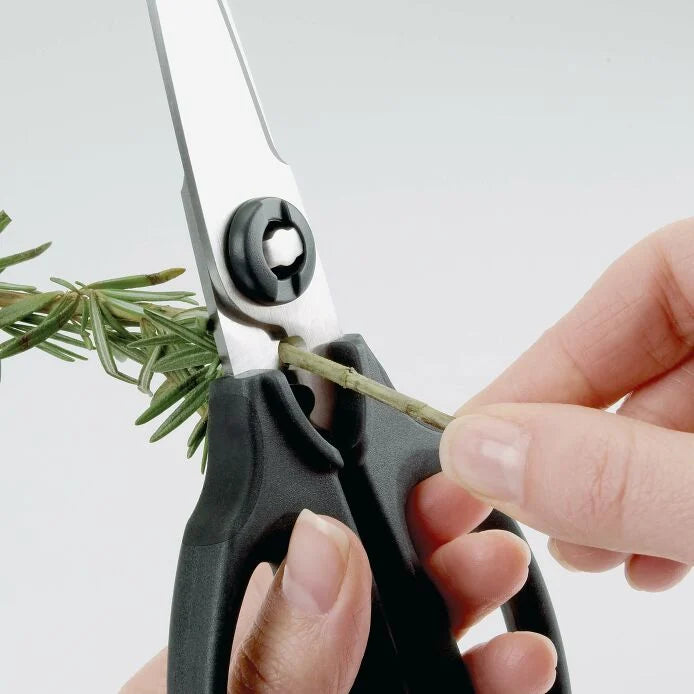 OXO Kitchen & Herb Scissors