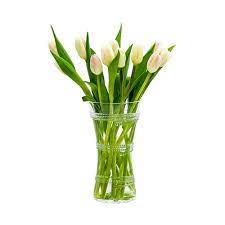 Juliska Ella 6" Corset Vase