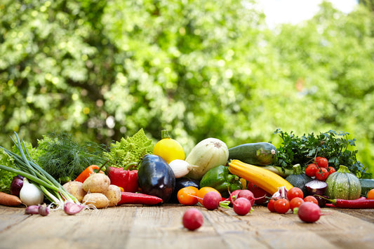 From the Winter Farm (Hands On Vegetarian)